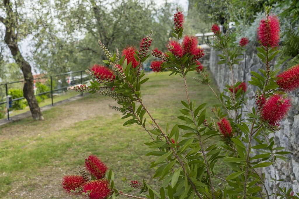 Monja Camping Village Brenzone sul Garda Eksteriør billede